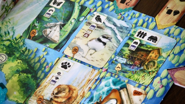 meadow downstream cards and sleeves pack Meadow: Sleeve Add-On landscapes and souvenirs collected from the hike MEADOW - DOWNSTREAM - CARDS